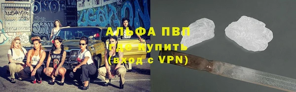 молекула духа Пересвет
