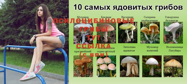 не бодяженный Бронницы