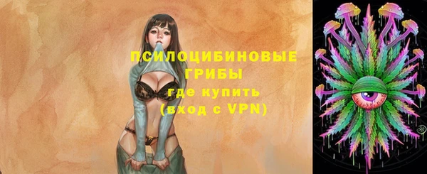 гашик Бугульма