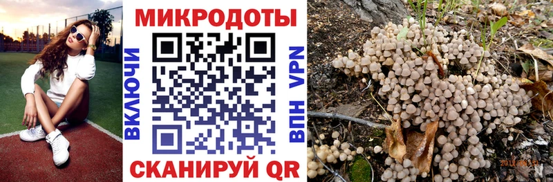 Псилоцибиновые грибы прущие грибы  Семёнов 